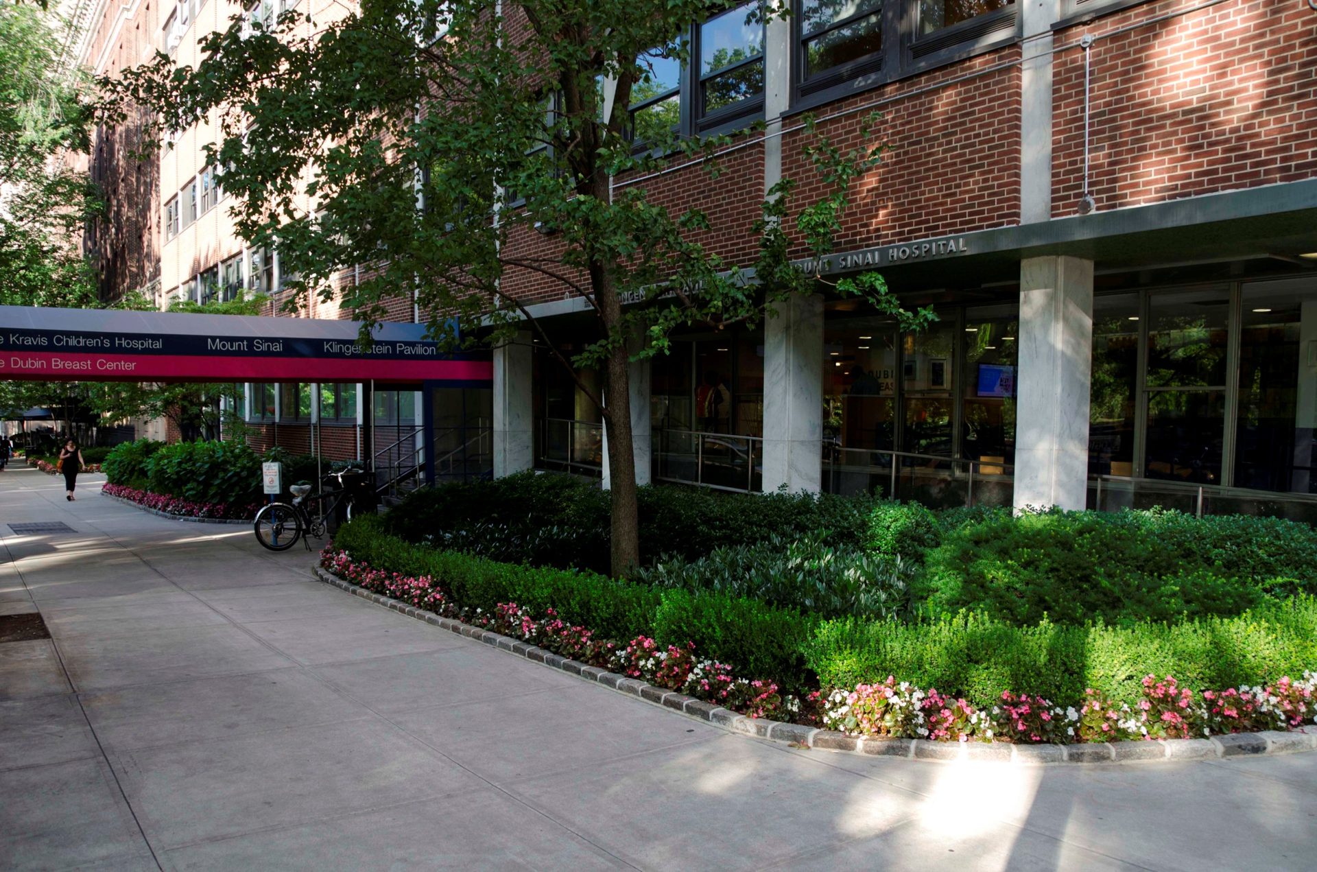 Mount Sinai Hospital, New York (4).jpg